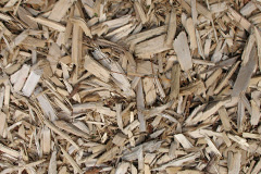 biomass boilers Kintra